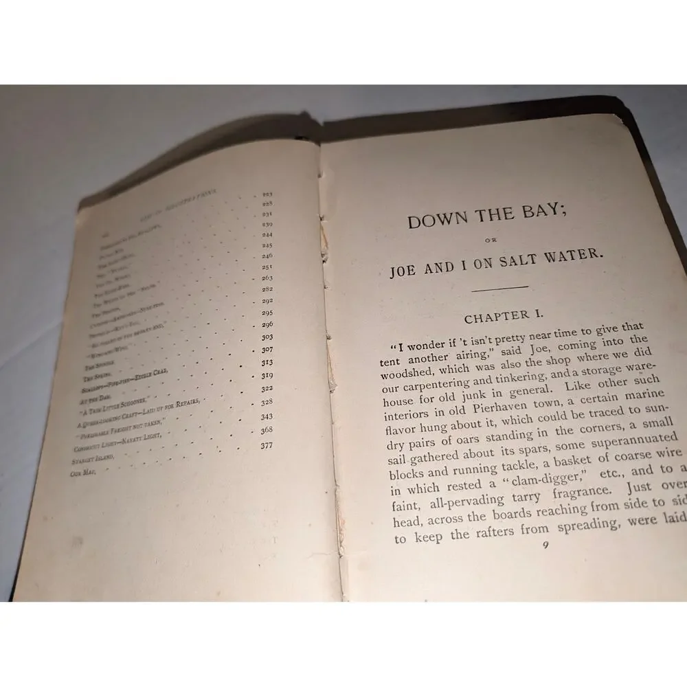 Antique 1890 Down the Bay Joe and I on Salt Water Belford Clarke HC Book